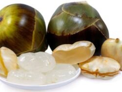 Apakah Kolang-Kaling Baik untuk Tulang? Ini Penjelasannya