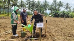 Dukung Program Hilirisasi Perkebunan, Dandim 1310/Bitung Ikut Tanam Kelapa