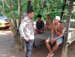 Polsek Elikobel Tertibkan Produksi Miras Lokal, Puluhan Liter Sagero Dimusnahkan di Kampung Tof-Tof