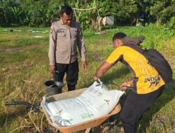 Polres Jayapura Optimalkan Ketahanan Pangan, Laksanakan Pemupukan Tanaman Jagung di Doyo Lama