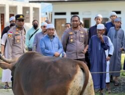 Polresta Jayapura Kota Salurkan Hewan Kurban di Empat Lokasi, Wujud Kepedulian dan Penguatan Kebersamaan dengan Masyarakat