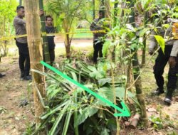 Polres Jayapura Lakukan Pengamanan dan Sterilisasi Lokasi Penemuan Benda Diduga Bom di Distrik Waibu