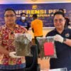 Seorang WNA Asal PNG Diciduk Opsnal Narkoba Polresta Lantaran Bawa Ganja 1,6 Kilogram