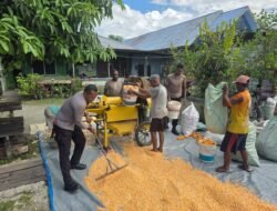 Polres Jayapura Lanjutkan Pengolahan Hasil Panen Jagung, Perkuat Program Ketahanan Pangan Nasional