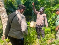 Polsek Okaba Gencarkan Razia Miras Lokal, Puluhan Liter Sagero Dimusnahkan di Kampung Dufmira