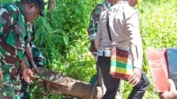 Polres Sarmi Amankan Mortir Aktif Peninggalan Perang Dunia II yang Ditemukan di Pantai Kelapa 1