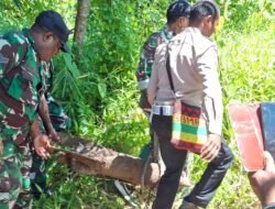 Polres Sarmi Amankan Mortir Aktif Peninggalan Perang Dunia II yang Ditemukan di Pantai Kelapa 1