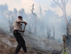Respon Cepat Karhutla, Kapolres Pegunungan Bintang Turun Langsung Padamkan Api di Gunung Jln Okpol
